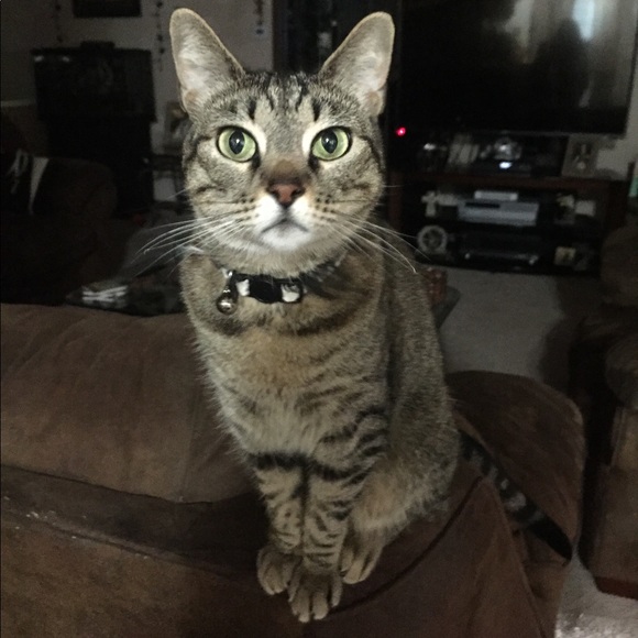 ๐บ๐ธMy Garden๐บ๐ธMy Babies๐บ๐ธ - Picture 4 of 16